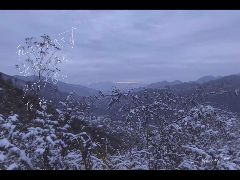 21度的天气该穿什么衣服??-专业有问必答平台
